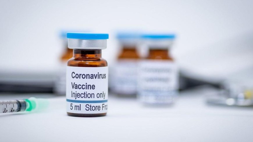 Possible Corona vaccine available in December: WHO