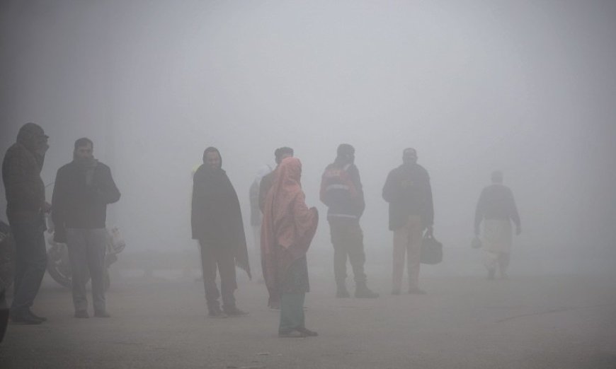 Does smog have any effects on our health?