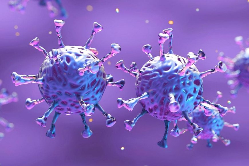 Will the Coronavirus slowdown in the winters?