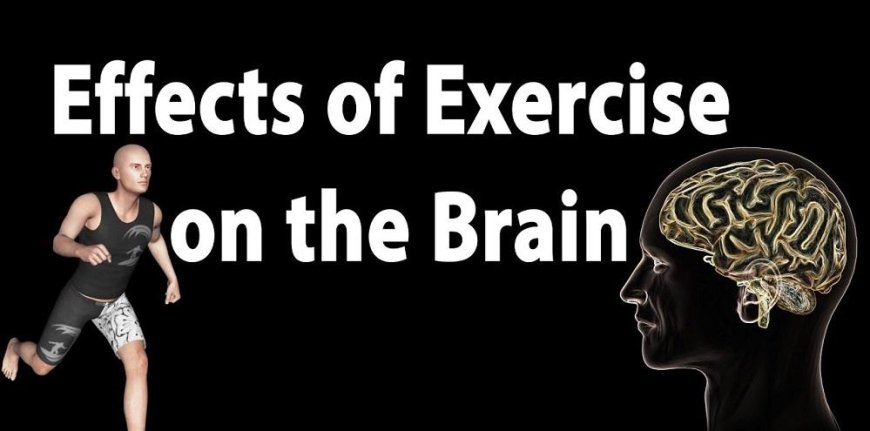 Effects of exercise on the brain