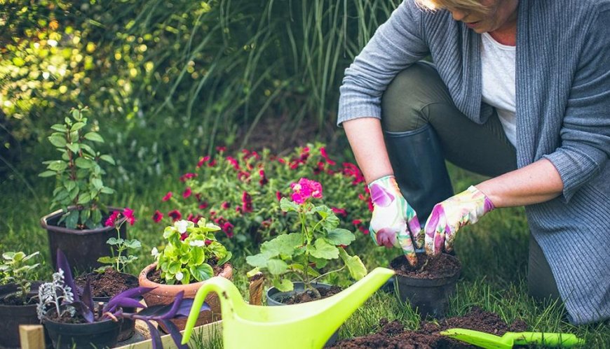 Is gardening a good hobby?