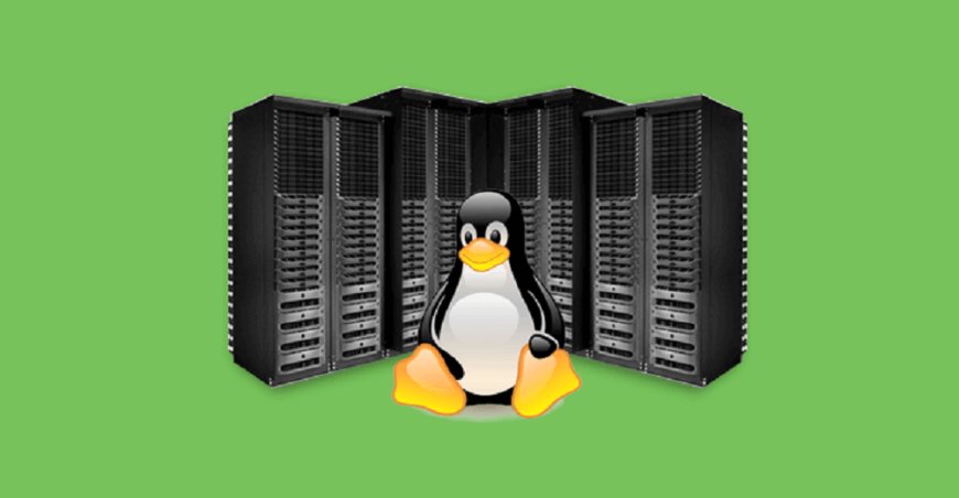 Benefits of Hosting on A Linux Server