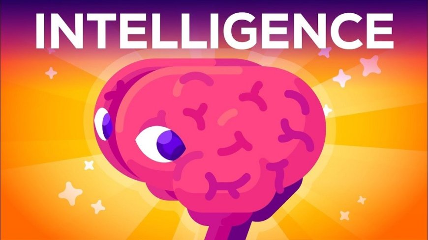 What is intelligence, where does it come from and how is it measured?