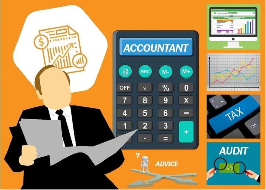 What is interesting about the profession of an accountant?