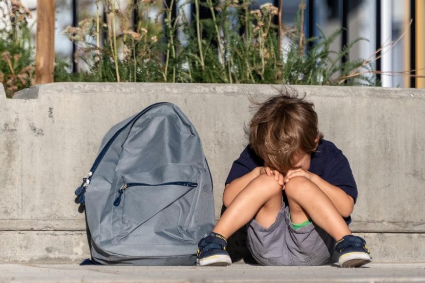 8 reasons why a child does not want to go to school