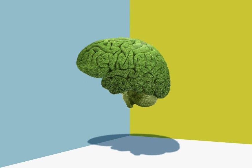 What is Brain Fog and why can it have serious consequences for our health?