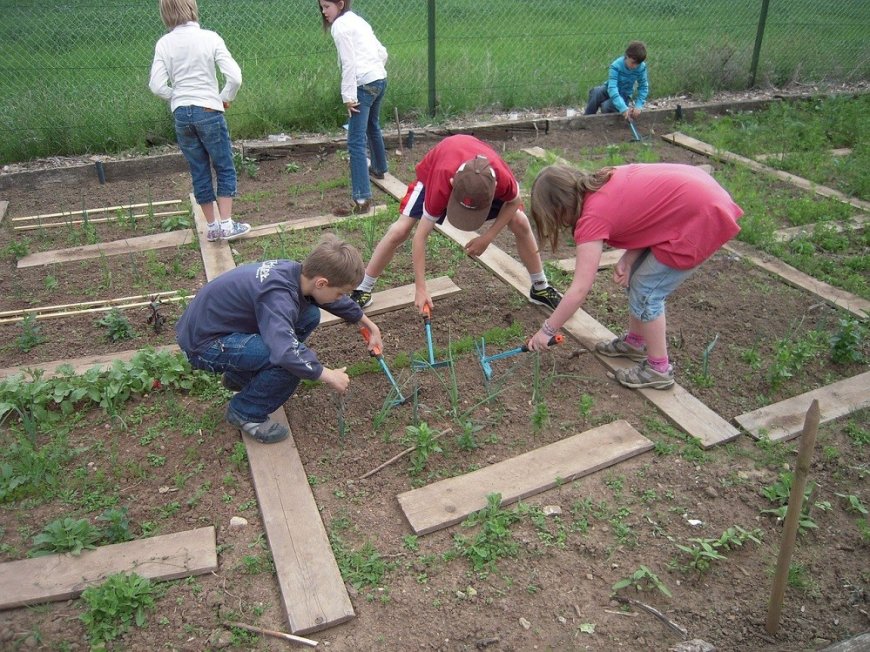 How school gardens can help children try more vegetables
