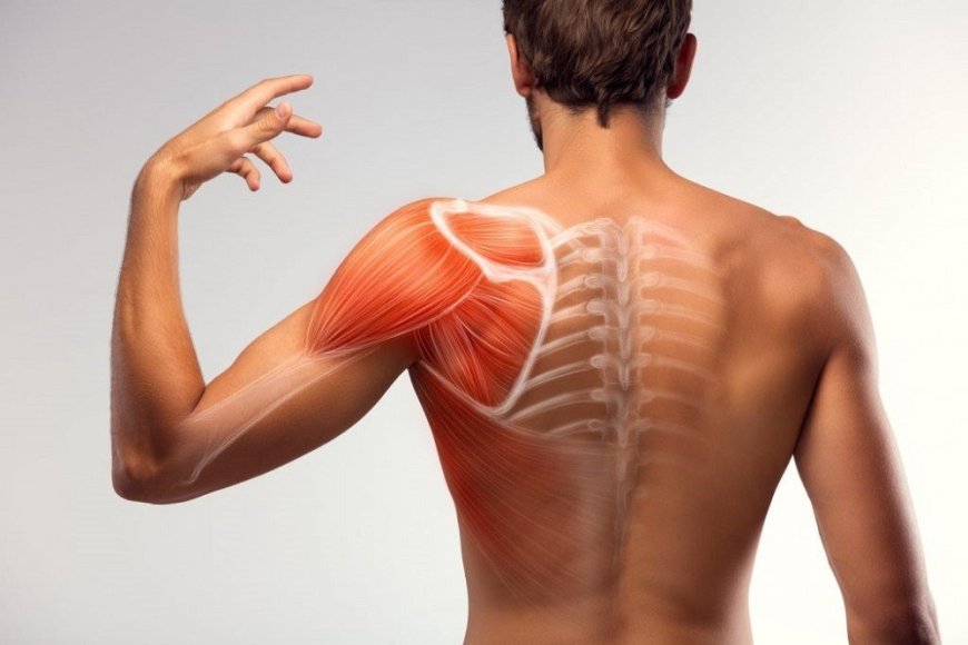 Muscle strain: why does it appear?