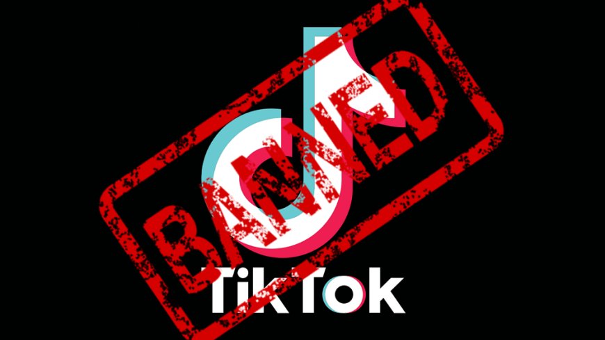 Petition filed in the Supreme Court for ban on Tik tok