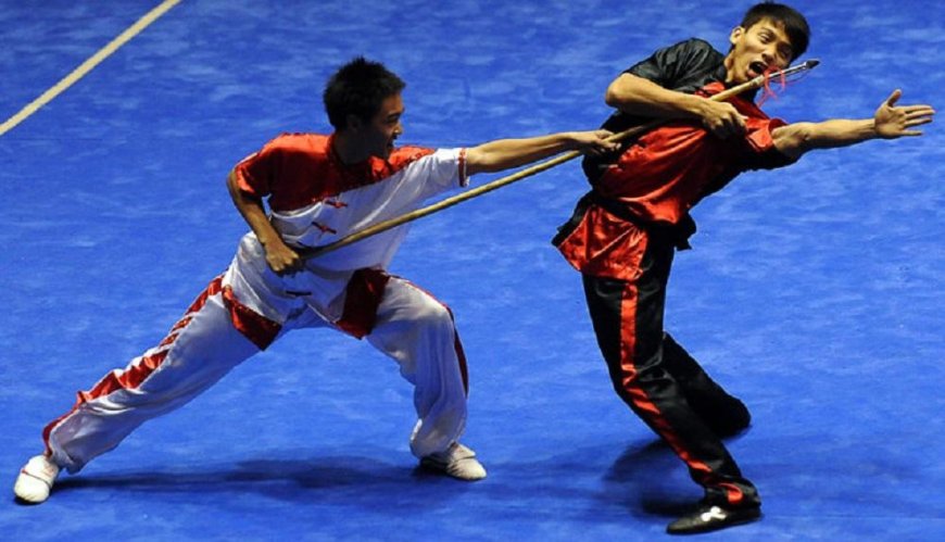 Combat sports - seven Olympic disciplines