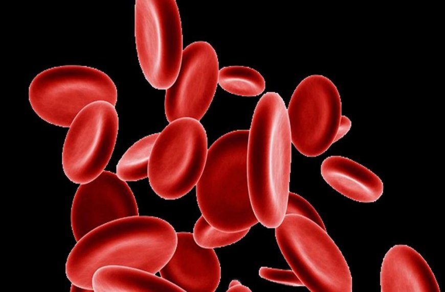 Anemia and its types - learn more about it
