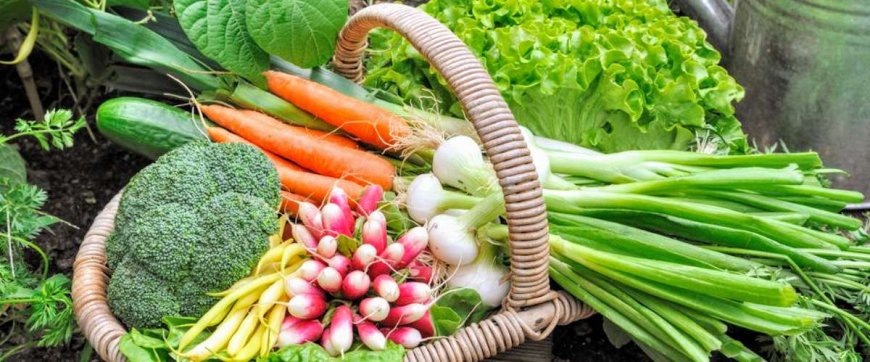 The best cancer-preventing vegetables