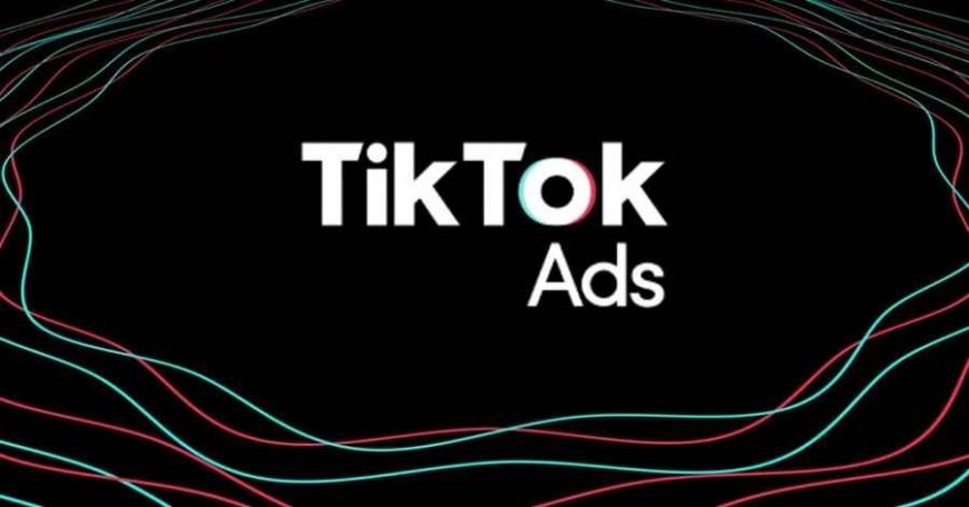 How much are TikTok ads per day.