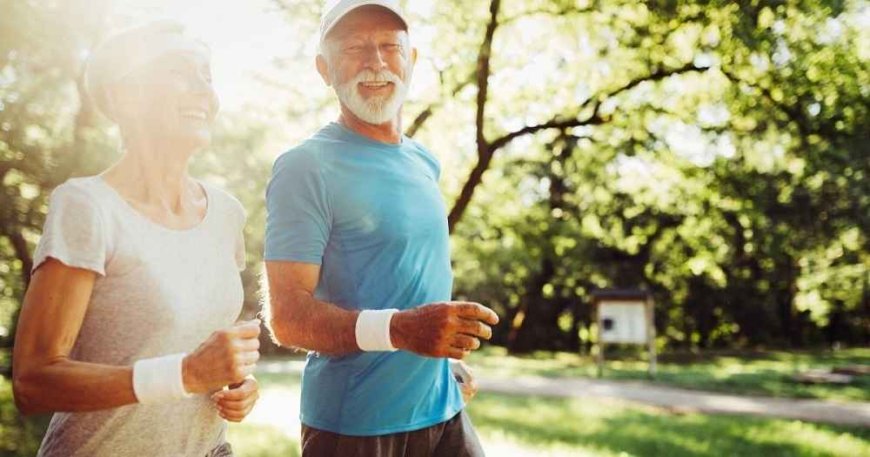 Stay Active and Engaged: The Best Physical Games for seniors