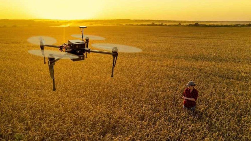Revolutionizing Agriculture: Harnessing the Power of Technology for Sustainable Food Production