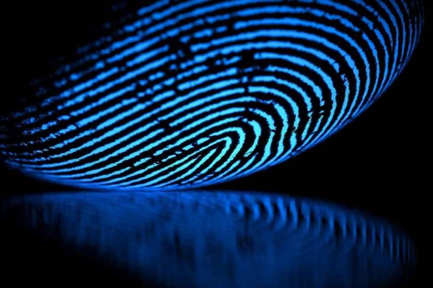 Unveiling the Risks and Dangers of Biometrics